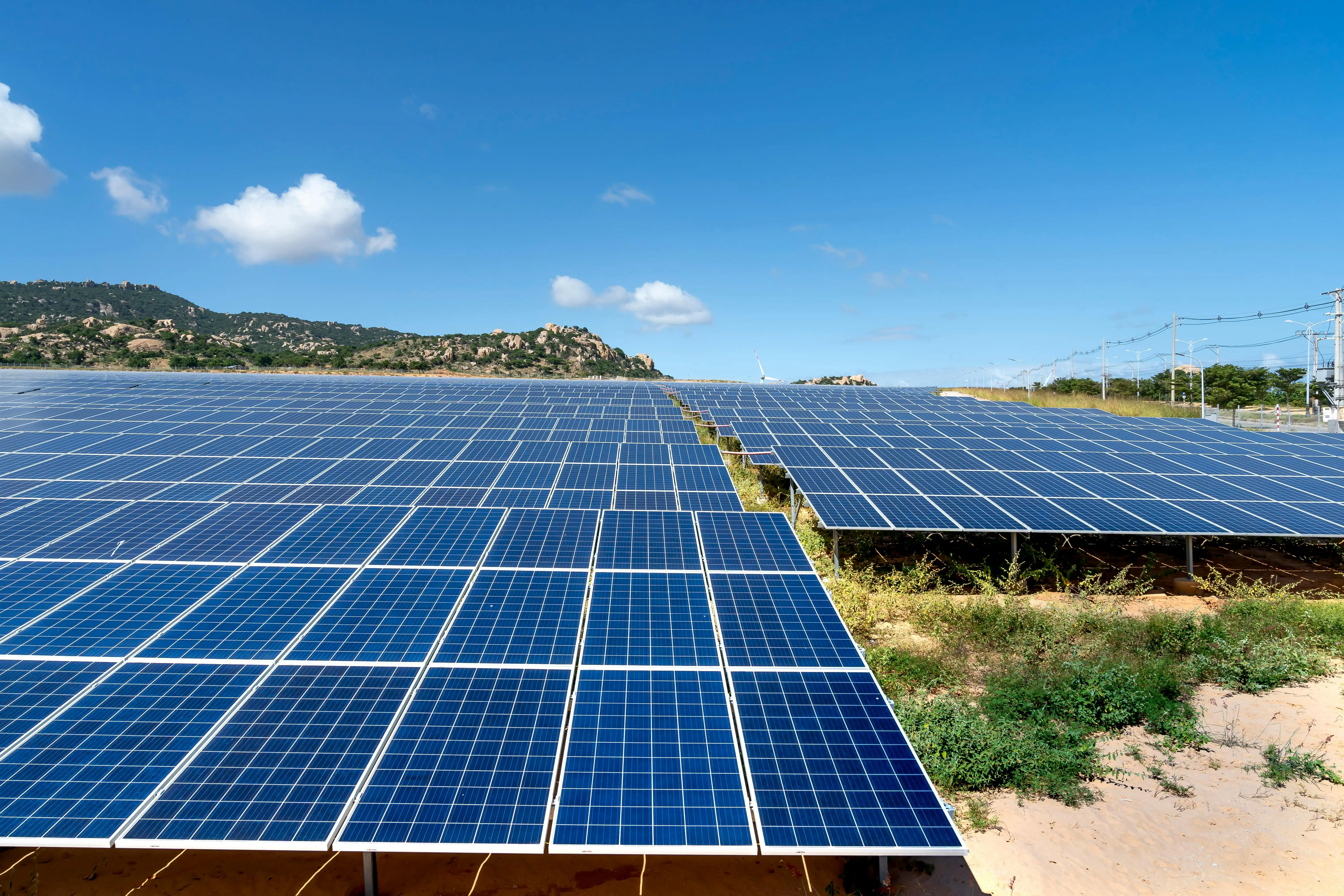 After optimization: utility-scale aligned solar field